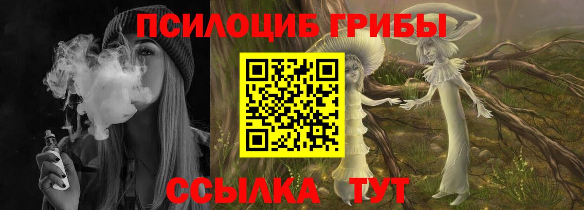 Галлюциногенные грибы Cubensis Майкоп