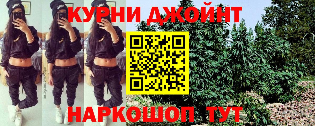 Шишки марихуана планчик Майкоп